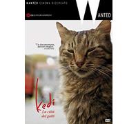 Kedi La Città Dei Gatti (DVD)