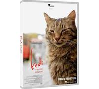 Kedi La Città Dei Gatti (DVD)