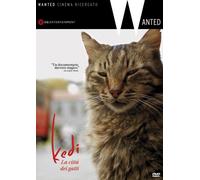 Kedi La Città Dei Gatti (DVD) Documentario