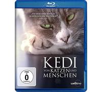 Kedi - Von Katzen und Menschen