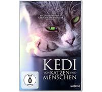 Kedi - Von Katzen und Menschen