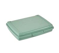 keeeper Contenitore per Alimenti con Chiusura a Scatto, 17 x 13 x 3,5 cm, 500 ml, Luca Mini, Nordic Green (Verde)