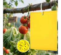 KEELYY 40 Pezzi Trappole Appiccicose, Adesivi Gialli, Trappola per Insetti per Mosca Bianca, Ulivi Mosca della Frutta, Afidi, Minatori Fogliari, Cicaline (15cm x 20cm)