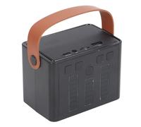 Keenso Altoparlante Karaoke, Luci a LED, Set Doppio Microfono, Studio Musicale Portatile, Batteria da 1800 MAh per Riunioni di Famiglia, attività All'aperto (Doppio microfono)
