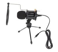 Keenso CARDIOID CASPASTORE -MICROPHONE SET con Cavo Adattatore, Suono Trasparente e Configurazione Semplice per Podcasting, Voice over e Studio per lo Studio Domestico e lo Streaming