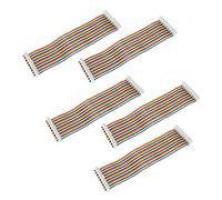 Keenso Cavo GPIO 20 Cm 5 Pezzi da Femmina a Femmina per Accessori per Computer Mini Computer Necessari (da madre a madre)