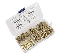 Keenso Set di Ganci per Immagini a Base di 100, Ganci Sospesi in Ferro a Doppia Vite con Viti con Viti, Materiale di qualità Premium per , , Camion di Grandi Dimensioni, Utilizzo Versatile, Facile