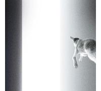 Panoram Keep Looking Where the Light Comes From (Vinyl LP) 12" Album