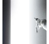 Panoram Keep Looking Where the Light Comes From (Vinyl LP) 12" Album