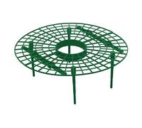 Keep Your Fragole Clean Confezione da 10 Supporto per Piante per Giardino Organi