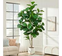 Keeplush Fico Lirata Artificiale 210cm-piante finte da esterno grandi completa di vaso bianco e ciottoli decorativi. piante finte- La scelta ideale per arredare uffici, soggiorni e camere da letto.