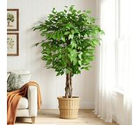 Keeplush Ficus Artificiale Pianta 150cm alta, Piante Finte da Interno Grandi con Tronchi Natural Ha 756 Foglie, Albero Artificiale Interni Per Soggiorno Ufficio Giardino Dec