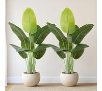Keeplush Pianta Artificiale Uccello del Paradiso 120cm Alta, Piante Finte da Interno Grandi Finta con 9 Foglie Albero di Banano Artificiale Per Interni Esterno Soggiorno Ufficio Giardino Dec（2 PACK）