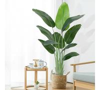 Keeplush Pianta Artificiale Uccello del Paradiso 150cm Alta, Piante Finte da Interno Grandi Finta con 10 Foglie Albero di Banano Artificiale Per Interni Esterno Soggiorno Ufficio Giardino Dec（1 PACK）