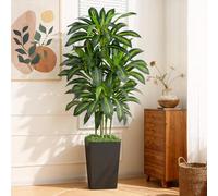 Keeplush Pianta Finta Dracaena Artificiale 150cm alta con Vaso Nera, Piante Finte da Interno Grandi Ha 105 foglie, Albero Artificiale Interni Per Soggiorno Ufficio Giardino Dec