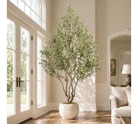 Keeplush Ulivo Artificiale 244 cm- pianta finta altaalbero artificiale da interno con 1750 foglie realistiche e 145olive di interni ed esterni, uffici e soggiorni.