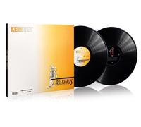 Keimzeit Irrenhaus / Kapitel Elf (Vinyl LP)