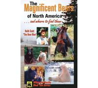 Keith Scott Magnificent Bears of North America (Tascabile)