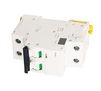 Kelawoly Interruttore Automatico, 2P Magnetotermico PA660 AC400V 500VAC