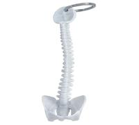 Keletchain Scheletro della colonna vertebrale umana Scheletro realistico Tornario Display Modello umano Novità della colonna vertebrale per auto, chiavi, telecamera, portafoglio (bianco)