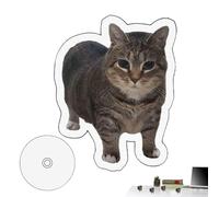 keloppasit Ornamento Gatto Spin Acrilico | 2D Ornamento Da Scrivania Gatto Acrilico Trasparente - Decorazioni Casa Divertenti E Raffinate - Per La Camera Da Letto E Il Soggiorno