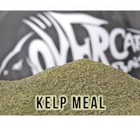 Kelp Meal Over Carp Baits Carpfishing Farina Mix Self Made Boilies A0685
