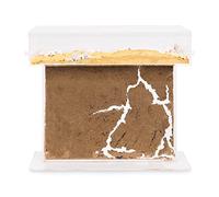 Kelsia Acguarras Puro Kelsia 1 L 12 Unità 100 ml