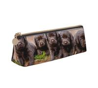 KemEng Cuccioli Labrador Marrone Piccola Famiglia Di Cuccioli, Astuccio portapenne triangolare Astuccio portapenne portatile in pelle con cerniera Astuccio porta cosmetici