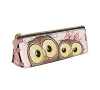 KemEng Due gufi svegli del fumetto, Astuccio portapenne triangolare Astuccio portapenne portatile in pelle con cerniera Astuccio porta cosmetici