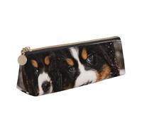KemEng Fantastico Bovaro del Bernese, Astuccio portapenne triangolare Astuccio portapenne portatile in pelle con cerniera Astuccio porta cosmetici