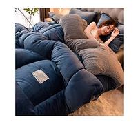 KemNet Piumino Invernale in Cotone, Reversibile Piumone Interno Agnello Cashmere e Velluto Tessuto di Lana Caldo Inverno, Piumino 4 Stagioni, Piumone Matrimoniale Singolo,150 * 200cm(2kg)