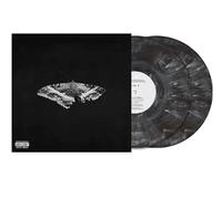 kendrick lamar(artist) - To Pimp a Butterfly Metallic Blends Alternate Cover