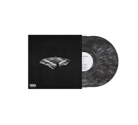 Kendrick Lamar To Pimp a Butterfly ( 10th Anniv Alternate Artw , Metallico 2xLP)