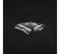 Kendrick Lamar To Pimp a Butterfly (10th Anniversary Edition) (Vinyl LP)