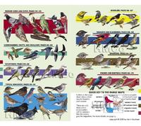 Kenn Kaufman Kaufman Field Guide To Birds Of North America (Copertina rigida)