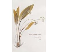 Kenneth Pobo At the Window, Silence (Tascabile)