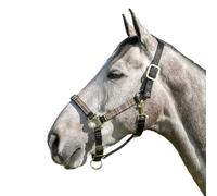 Kensington Halter Premium con naso imbottito - più forte della pelle - nasello imbottito aggiunge comfort e controllo - Gola a scatto per una vestibilità identica