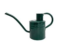 Kent & Stowe Annaffiatoio da 2 l, per interni ed esterni, colore verde foresta, resistente alla ruggine, con manico e beccuccio lungo, attrezzi da giardino classici per tutto l'anno in acciaio