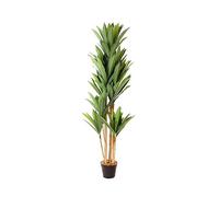 KENTIS - Dracaena Finta - Pianta Artificiale - Piante Finte da Interno di Design con Vaso - Piante Artificiali da Esterno - Alta 170 cm