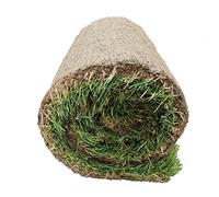 KENTIS - Prato Vero a Rotoli con Diverse Misure a Scelta - Vera Erba Naturale per Giardino ed Esterni - 15 Metri Quadrati