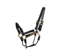 Kentucky Cavezza di Controllo per Cavalli Nylon