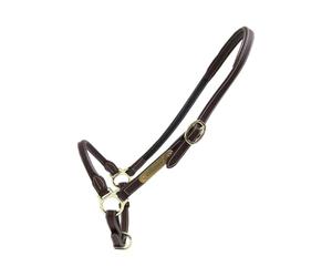 Kentucky Cavezza in Cuoio per Cavalli