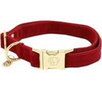 Kentucky Dogwear Dog Collar Corduroy, Red - S (28-40 cm)