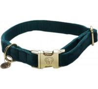 Kentucky Dogwear Dog Collar Velvet, Emerald - XS (25-38 cm)
