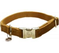 Kentucky Dogwear Dog Collar Velvet, Mustard - L (42-68 cm)