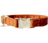 Kentucky Dogwear Dog Collar Velvet, Orange - XXS (18-26 cm)