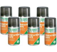 KENYATRIN SAFE COPYR 6 BOMBOLE DA 250ML. INSETTICIDA