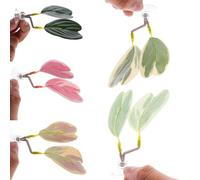 KEQAR 5 Pezzi Amaca per Pesci Betta, Punto di Riposo Leggero e Realistico, Silicone Morbido, Decorazioni per Acquario con Ventosa, Piante Acquario che Simulano Habitat Naturale