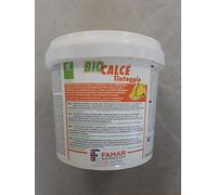 Kerakoll Biocalce Tinteggio Bianco LT.4