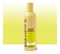 KERAMINE H SH ANTIFORFORA 300ML
